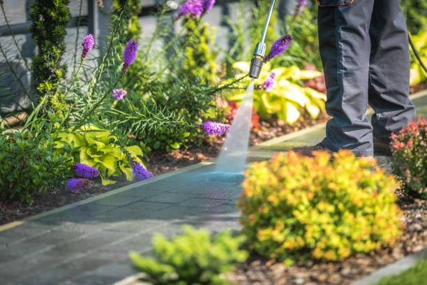 Best Building Exterior Pressure Washing in Rock Hall, MD