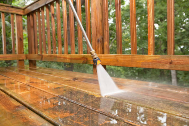 Best Fence Cleaning and Maintenance in Rock Hall, MD